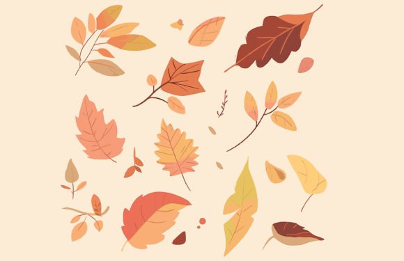 Autumn Leaves Set: A Versatile Design Element for Fall Projects