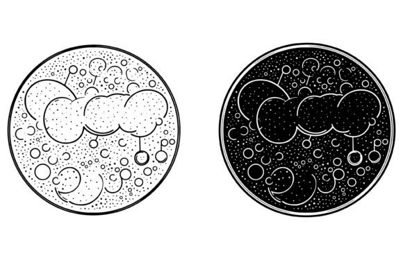 Mastering the Chat Bubble Icon for Visual Dialogue